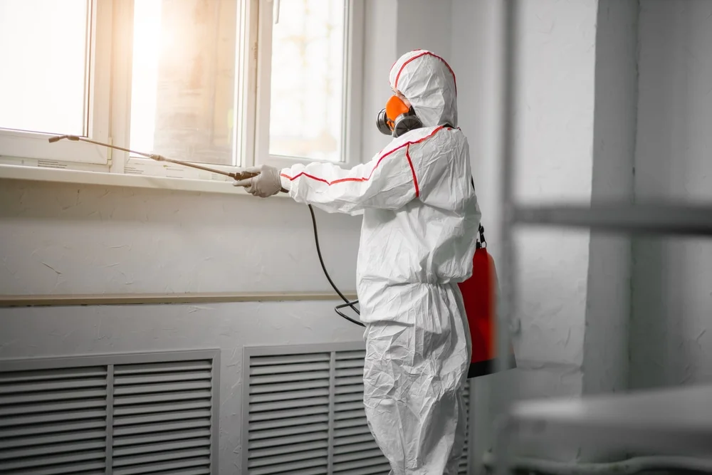 Professional mold remediation services in Brandon, WI